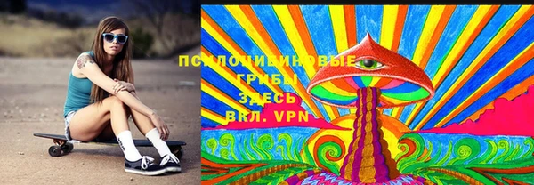 дмт Бронницы