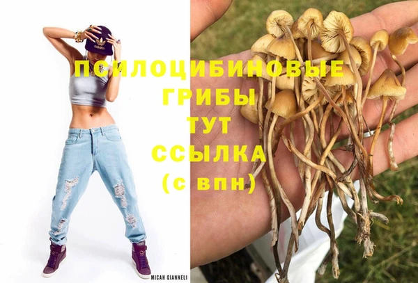 дмт Бронницы