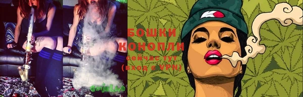 дмт Бронницы