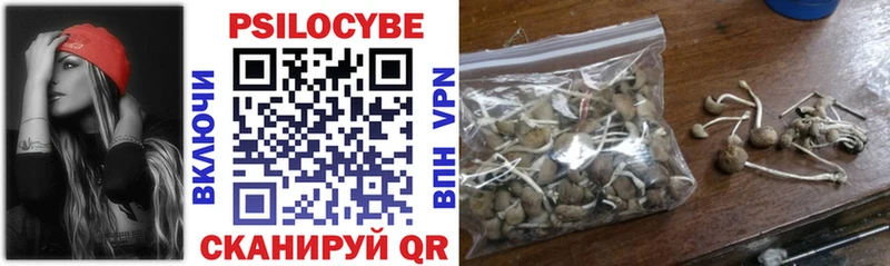 Псилоцибиновые грибы MAGIC MUSHROOMS  где найти   МЕГА ссылка  Балашиха 